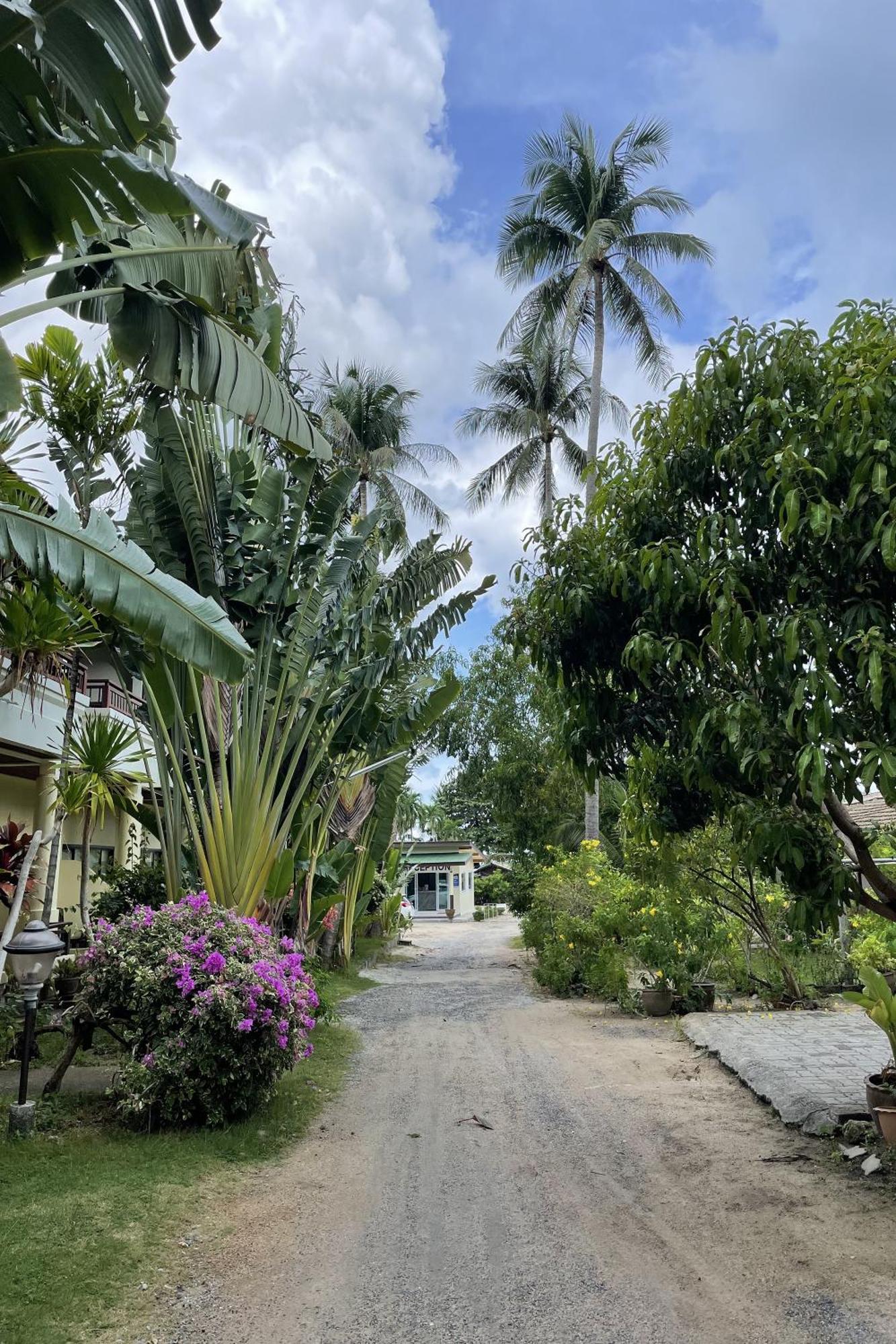 Sea Breeze Bungalow Lamai Beach  Dış mekan fotoğraf